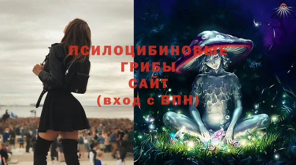 дмт Арсеньев