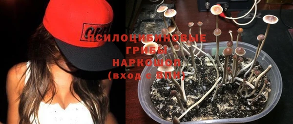 ешки Армянск