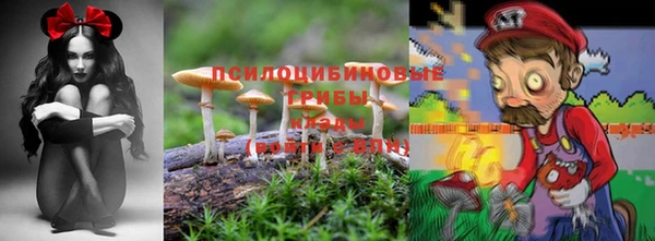 ешки Армянск