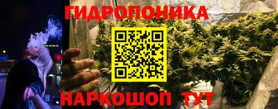 jwh Камышлов
