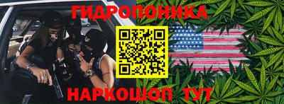 ALPHA PVP Канаш