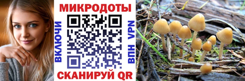 Псилоцибиновые грибы мицелий Мытищи