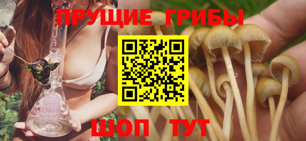 Галлюциногенные грибы мухоморы Мытищи