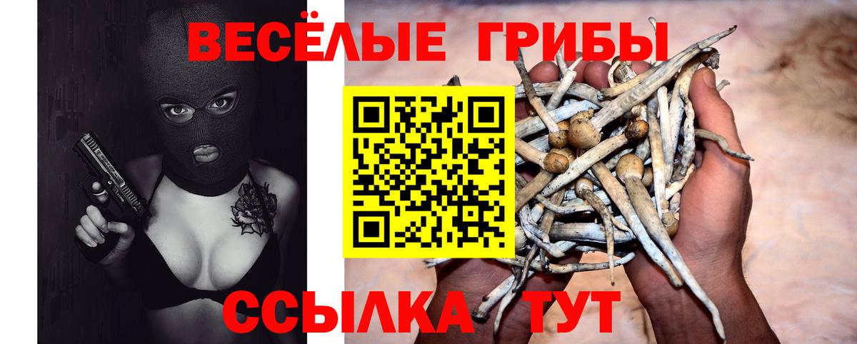 Псилоцибиновые грибы прущие грибы  Псилоцибиновые грибы мицелий  Мытищи  Вход с VPN 